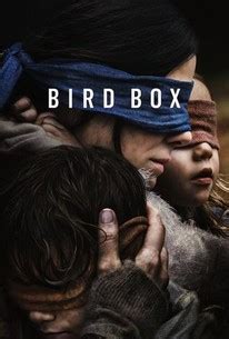 bird box rotten tomatoes|what happened in bird box.